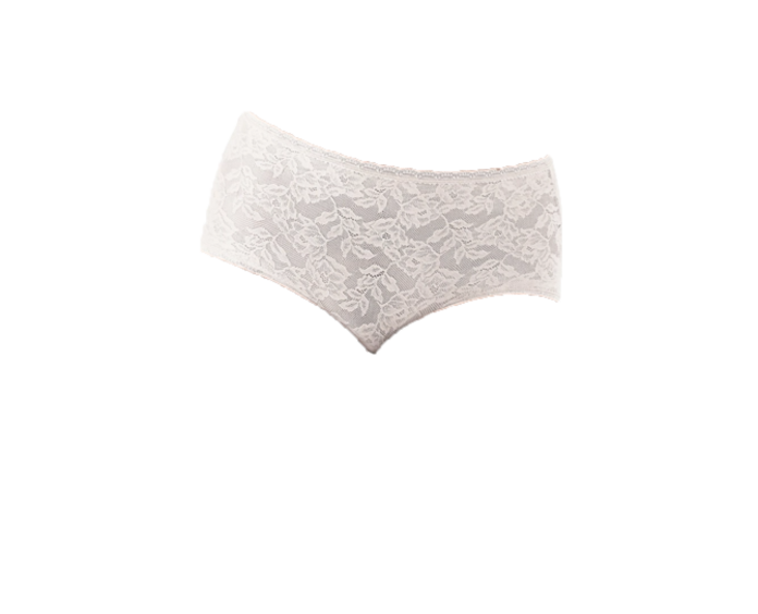 Wacoal Women's High Profile High-Cut Lace Underwear Panty, White