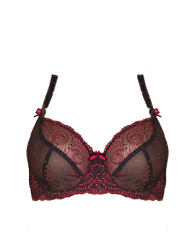 Fit Fully Yours Nicole Sheer Lace Bra, Black Red