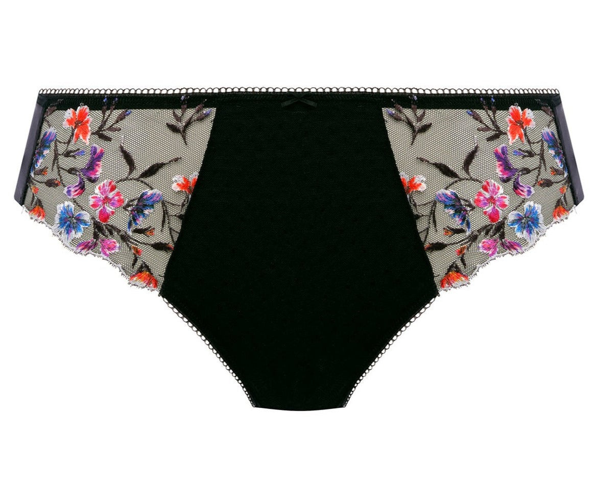 Aurelia Brief